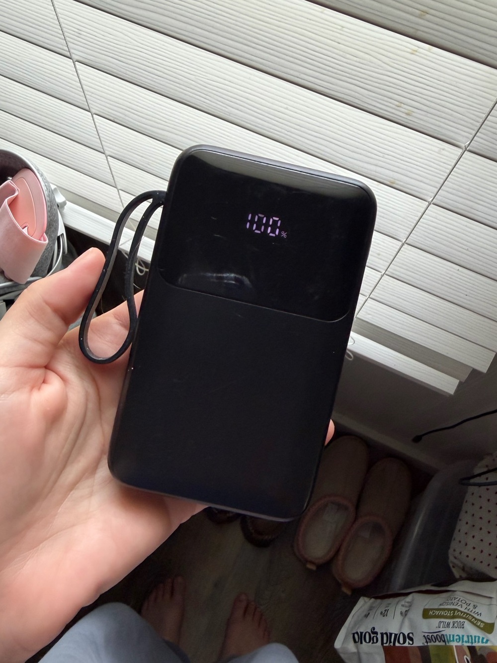 Portable charger